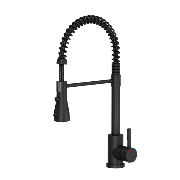 SALMA steel kitchen faucet pure carbon spring with shower function and temporary stop of the water stream